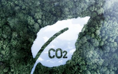 Protocollo GHG: la soluzione completa per la gestione delle emissioni